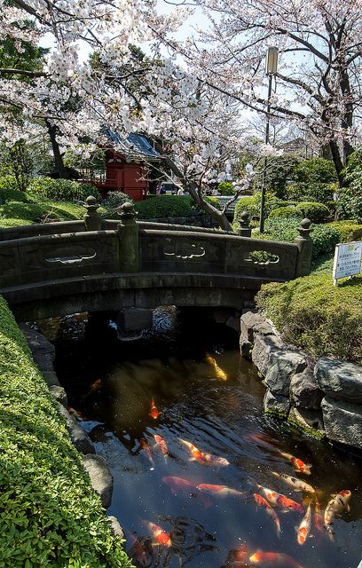 41a170e9868cf342c2fb363b4a813977