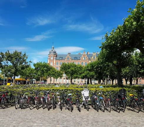 14021693_10153824493416918_5431510517968687243_n