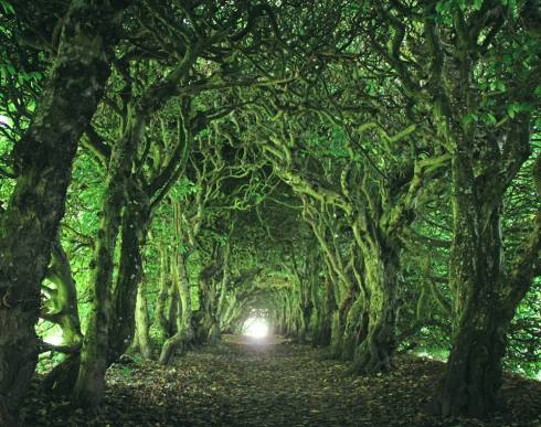 14079638_10153826753131918_7500842025957238859_n